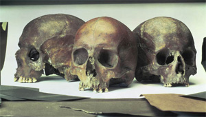 Description: skulls-Walbrook